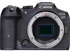 Canon EOS R7 (no lens included)