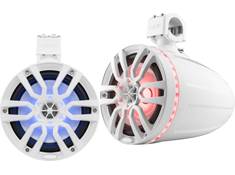DS18 Wakeboard Tower Speakers