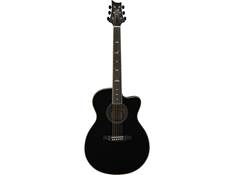 PRS Acoustic Guitars