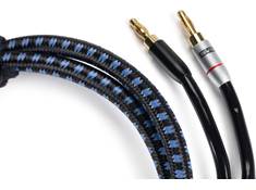 SVS Speaker Wire with Connectors