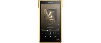 Video: Sony NW-A45 Walkman
