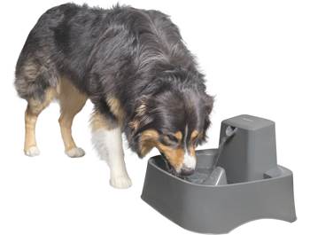 WeatherTech Pet Feeders & Water Fountains at Crutchfield