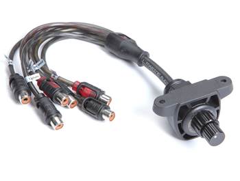 Roswell Dual Zone Volume Control