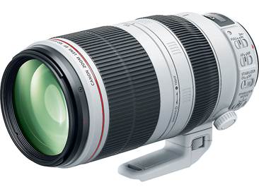 Canon EF 100-400mm F4.5-5.6L IS USM ★銘玉★ Customer Reviews: Canon EF 100-400mm f/4.5-5.6L IS II USM L Series