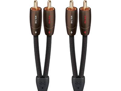 AudioQuest Golden Gate (0.6 meter/2 feet) Stereo