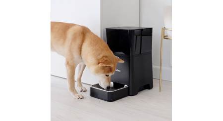 Petnet smartfeeder outlet offline