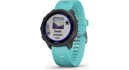 Forerunner® 255 Music by Garmin Online, THE ICONIC