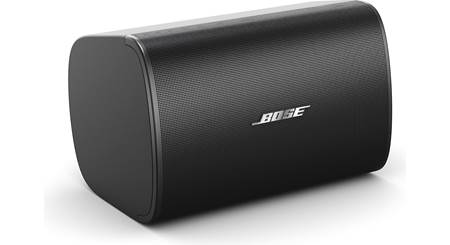 Bose® DesignMax DM6SE