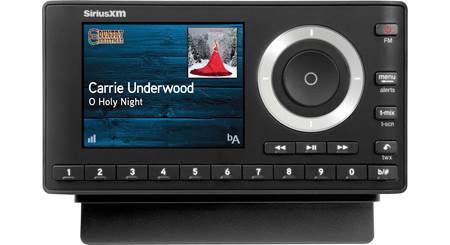 google home xm radio