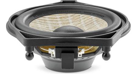 Focal Inside ICC MBZ 100