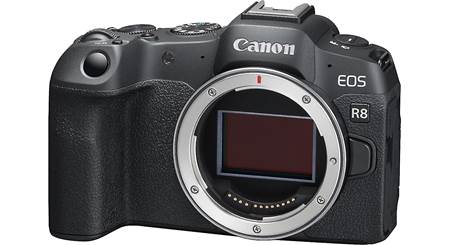 Canon EOS R8 (no lens included)