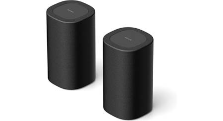 Sony SA-RS8