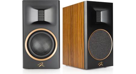 MartinLogan Motion® XT B100