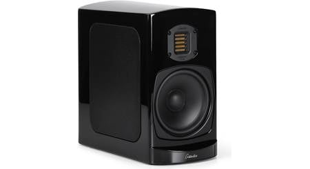 GoldenEar BRX