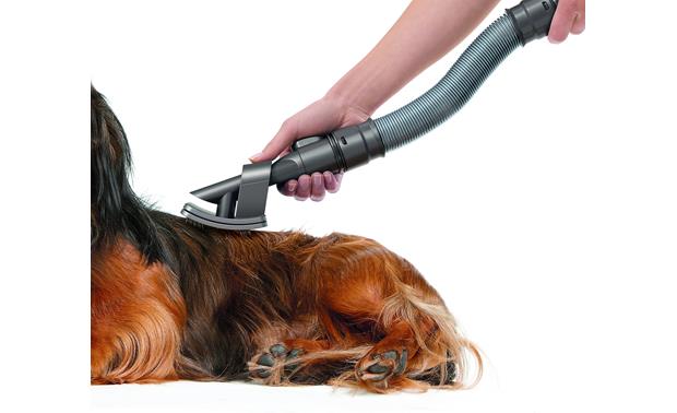 dyson pet groomer