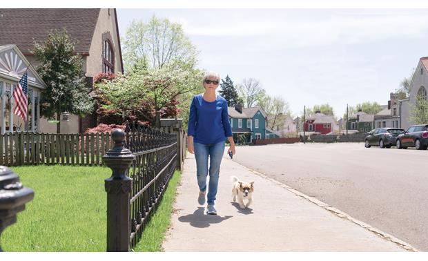 100 yard remote trainer