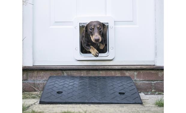 sureflap microchip pet door