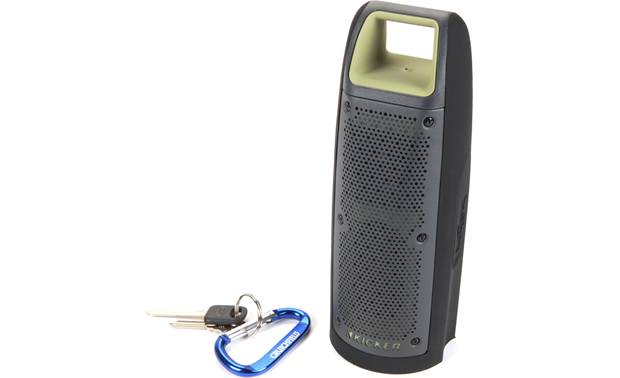 kicker bullfrog speaker