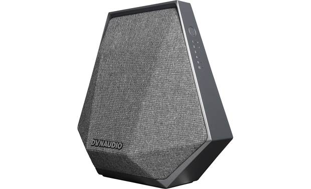 dynaudio multiroom