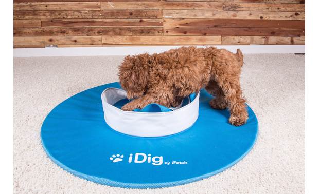 idig dog toy