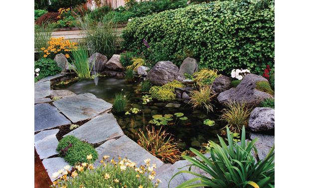 martin logan rock speakers