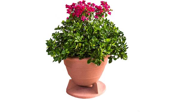 SoundTube OmniPlanter 6.5