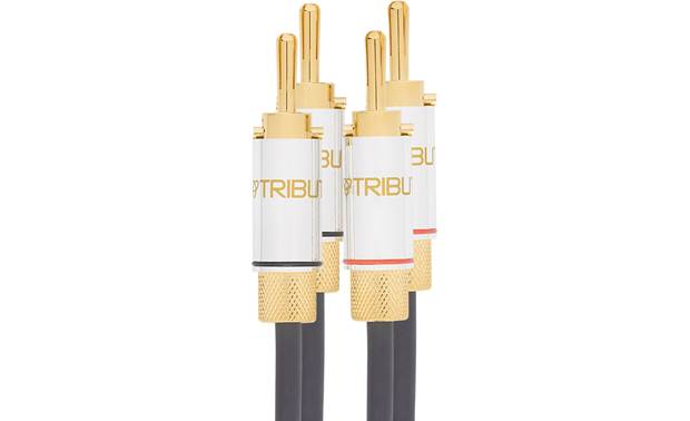 Tributaries Series 8 Model 8SP-B