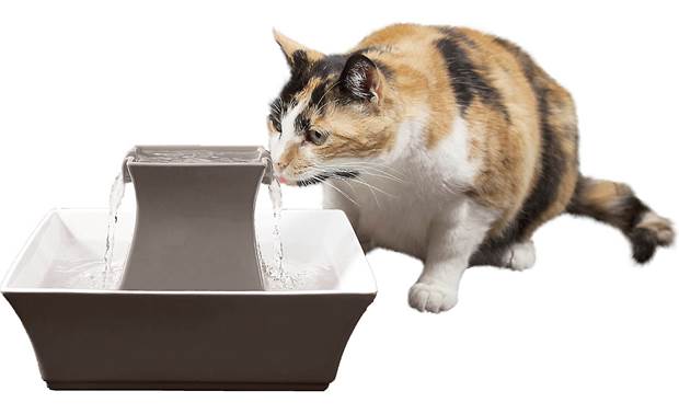 Petsafe drinkwell best sale ceramic fountain