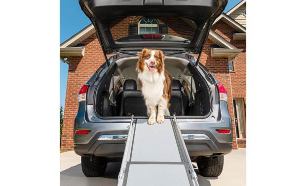 Product Videos: PetSafe Happy Ride® Telescoping Dog Ramp Adjustable ...