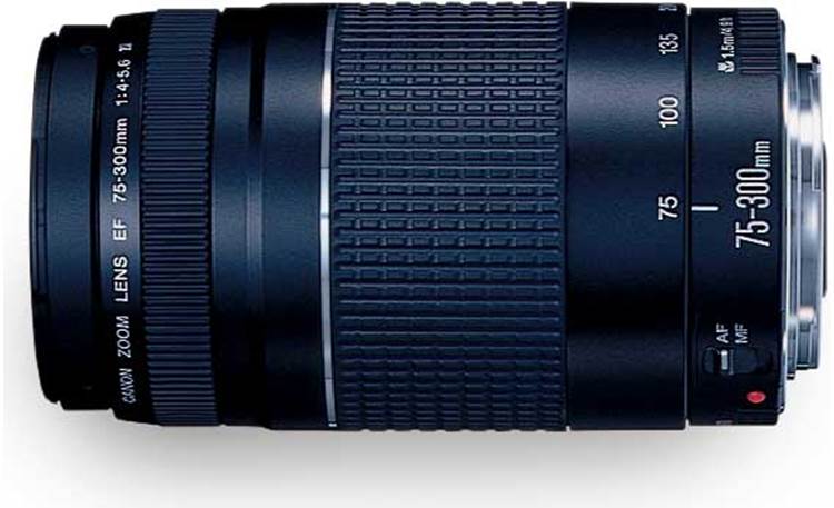 Canon ZOOM LENS EF 75-300mm 4-5.6 IS - レンズ(ズーム)