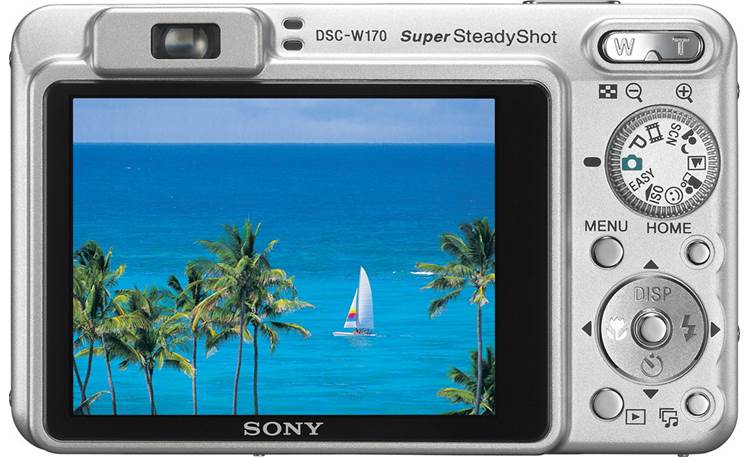 Sony Cyber-shot DSC-W170 (Silver) 10.1-megapixel digital camera