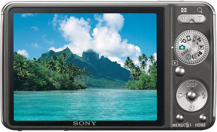 Black Sony Cyber-Shot DSC-W230 12 MP Digital Camera with 4X Optical Zoom and Super Steady Shot Image Stabilization 