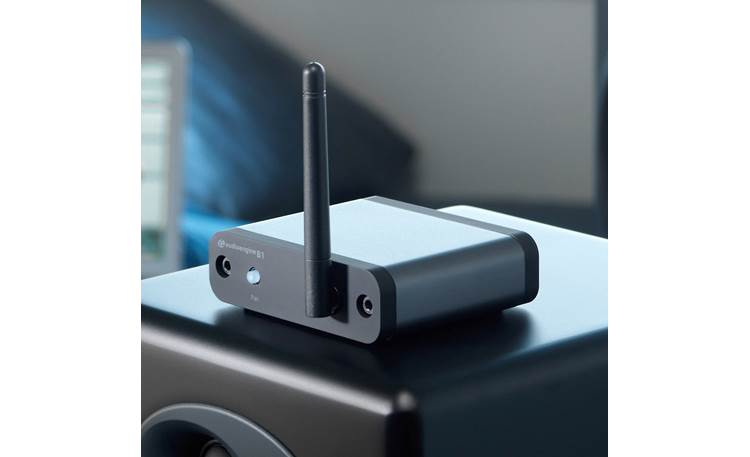 vorst Onzeker Integratie Audioengine B1 Premium universal Bluetooth® music receiver with extended  range at Crutchfield