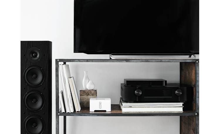 Sonos Connect:Amp Other