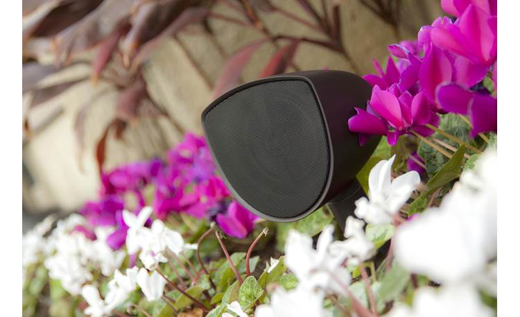 Acoustic Landscape™ AS4 Hide them in the garden, so they're heard and not seen
