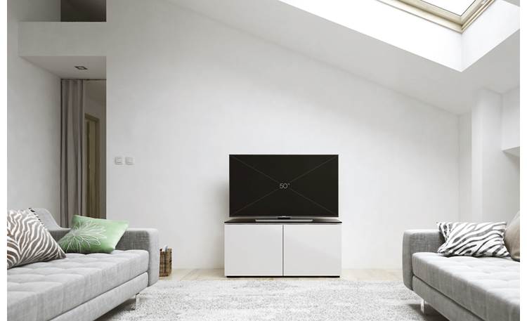 Salamander Designs Chameleon Collection Miami 221 Stores up to 4 components (TV not included)