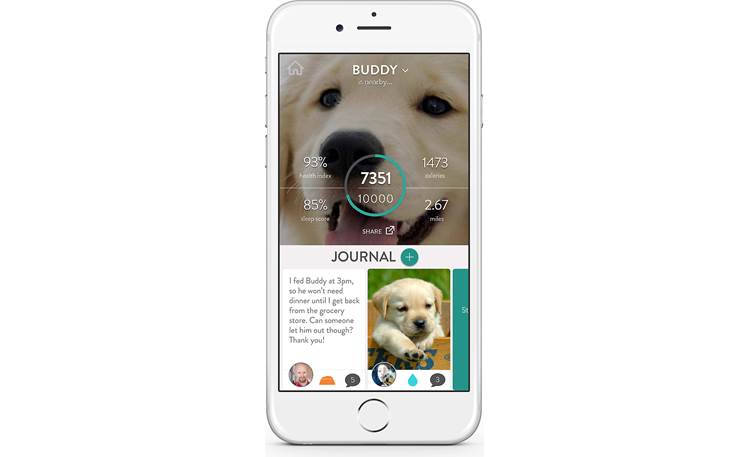 FitBark Activity Monitor Make sure all of your pet's caretakers are on the same page