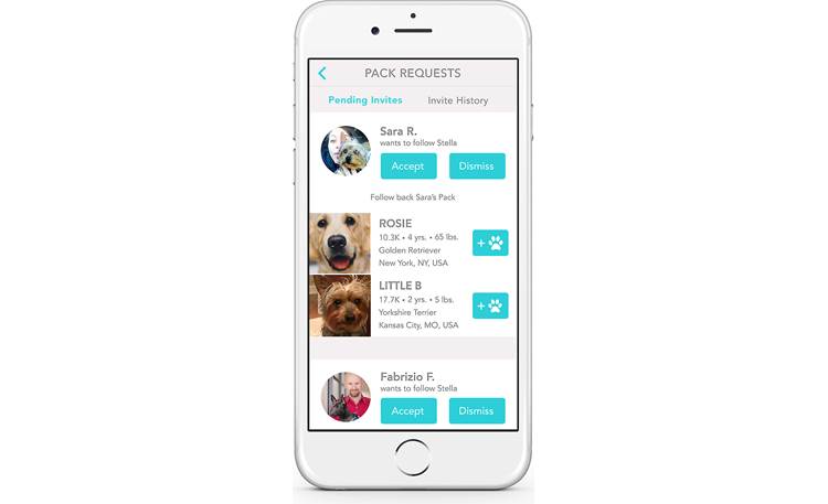 FitBark Activity Monitor Make new friends
