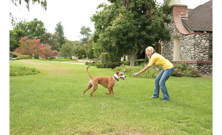 PetSafe Stay+Play Wireless Fence® It's all fun and games inside the wireless safe zone
