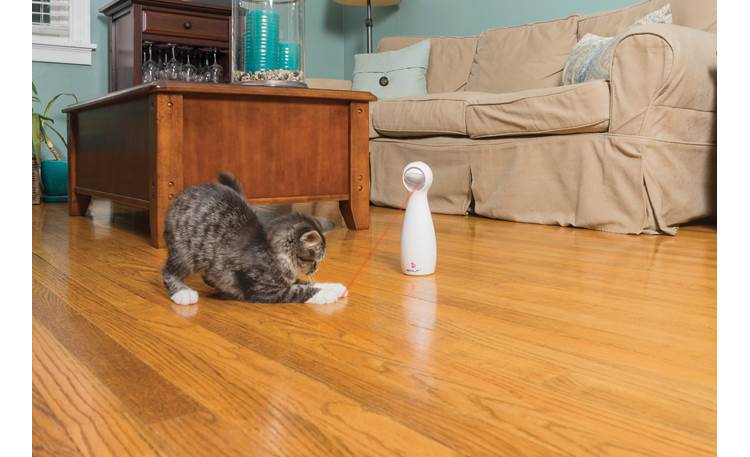 FroliCat Bolt Interactive Laser Cat Toy Up to 15 minutes of automated fun for your cat every time you turn it on