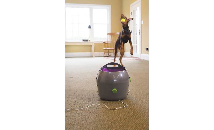 PetSafe Automatic Ball Launcher Vary the angle to match your dog's preferences