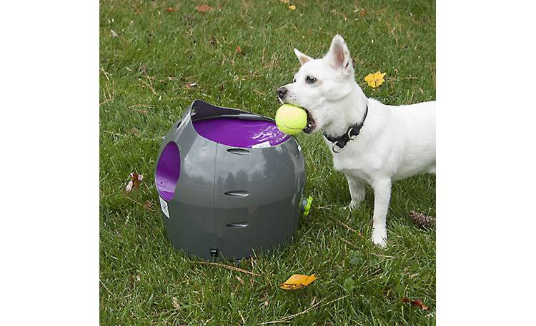 PetSafe Automatic Ball Launcher with 2 Tennis Balls PTY00-14665 AC & DC Power 