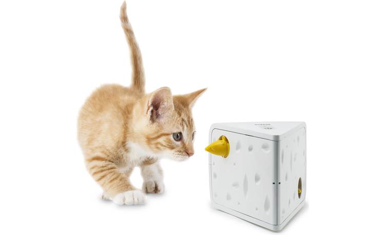 petsafe cheese cat toy