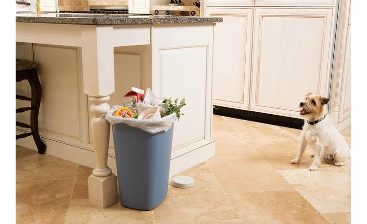 PetSafe Pawz Away® Indoor Barrier System This overflowing trash can will still be upright when you get home