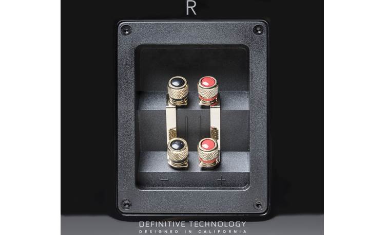 Definitive Technology Demand Series D11 Two sets of binding posts for bi-amping or bi-wiring