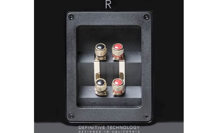 Definitive Technology Demand Series D9 Two sets of 5-way binding posts for bi-amping or bi-wiring