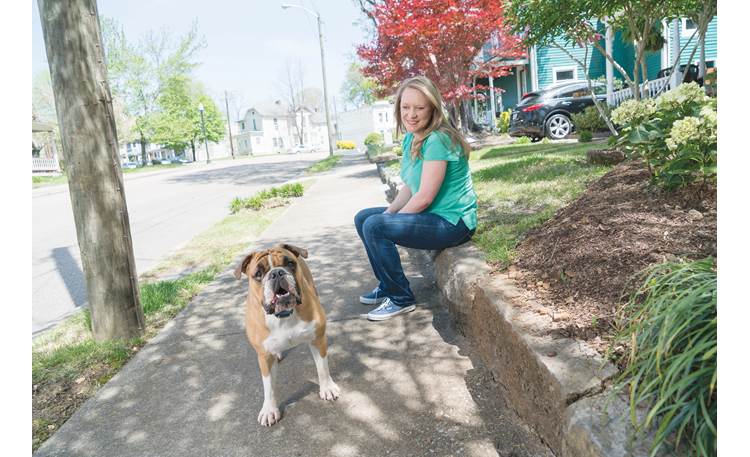 Petsafe yard & outlet park remote dog trainer