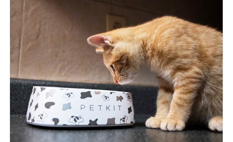 PetKit Fresh Other