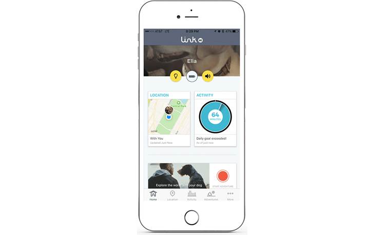 link akc app