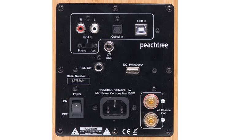 Peachtree Audio M24 Plenty of connections on the back of the right-hand speaker